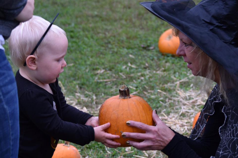 toddler picking pumpkins