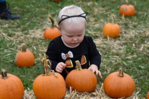 Child with pumpkins during the WK&S Pumpkin Patch Train Ride in Kempton PA