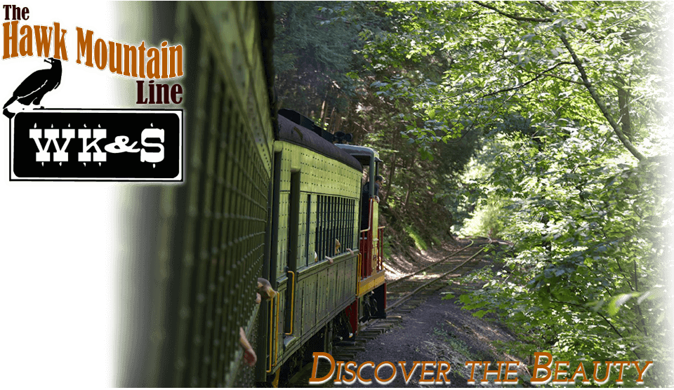 discover the beauty, woods around the train tracks