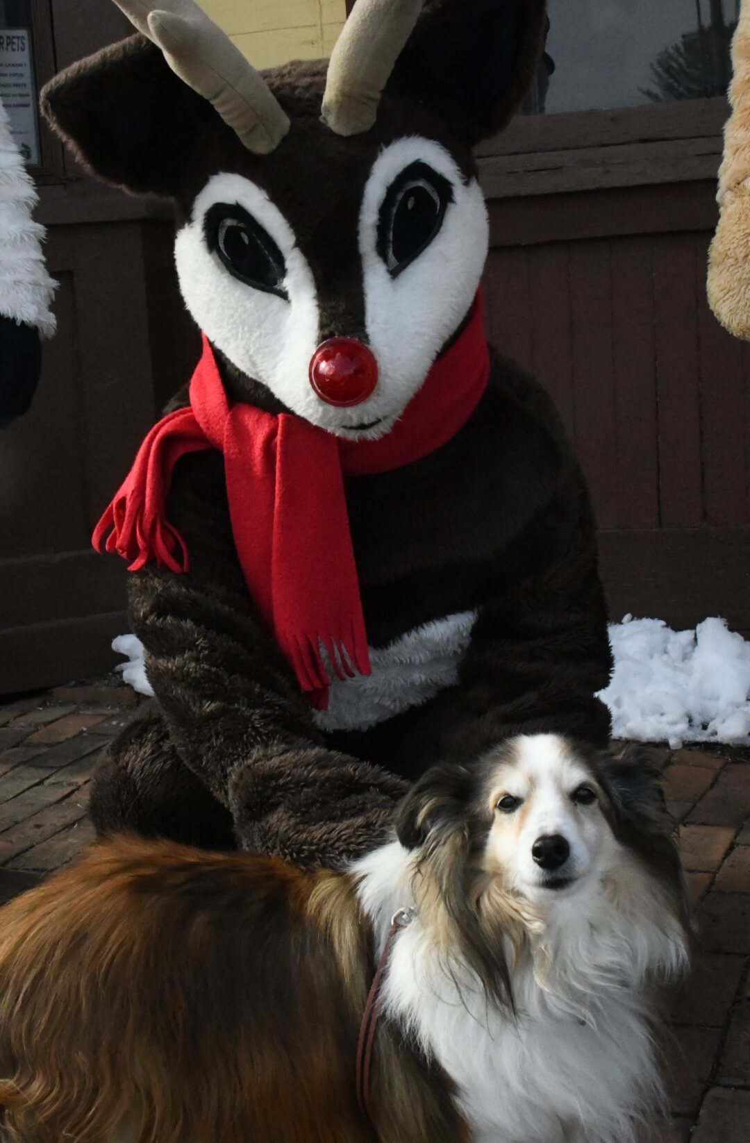 rudolf with a dog
